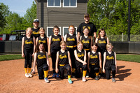 Tuscola Little League/Softball